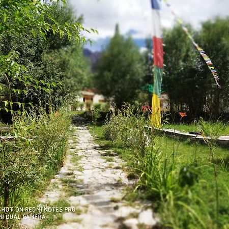 Lotus Eco Resort Hundar Экстерьер фото