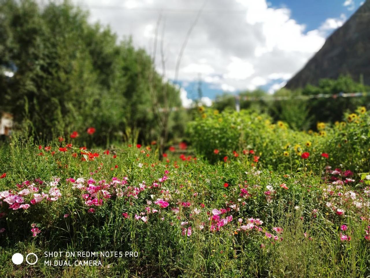 Lotus Eco Resort Hundar Экстерьер фото